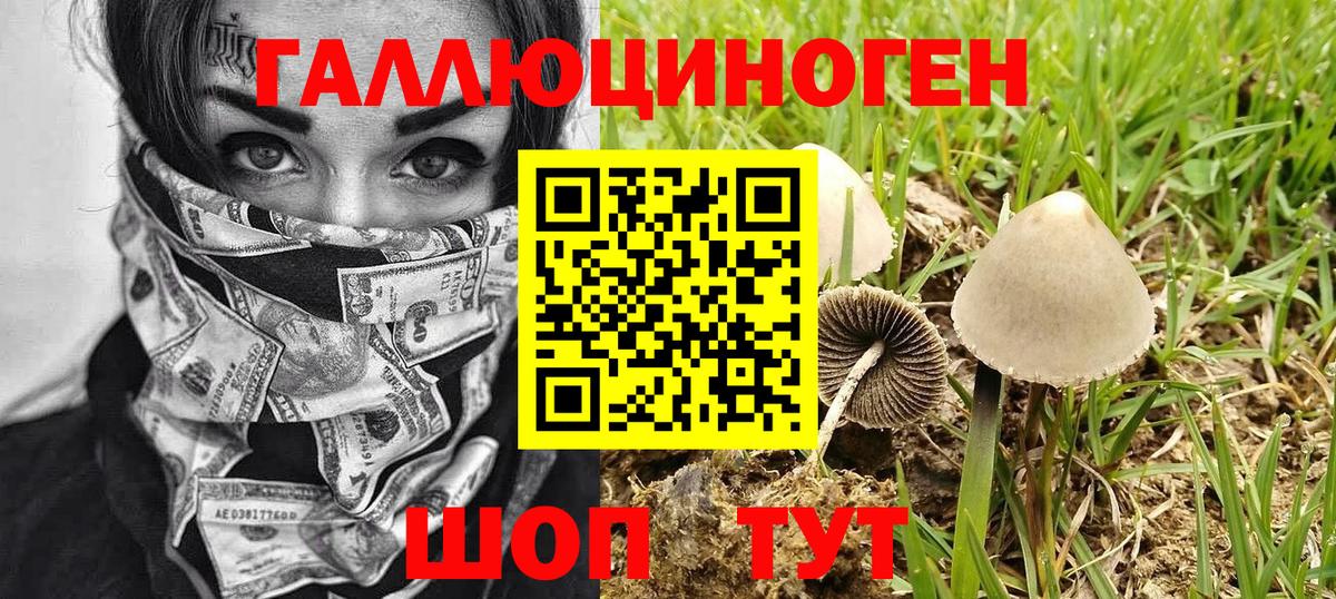Кстово  Псилоцибиновые грибы Magic Shrooms  закладки  Вход с VPN  Псилоцибиновые грибы GOLDEN TEACHER 